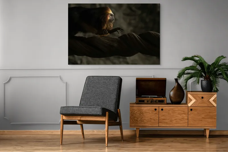 Tablou Canvas, "Exploratorul pădurii tropicale misterioase", Primat, Blană, Întuneric, Crengi, Observație, Natură, 150 x 100 cm – poza 8