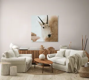Tablou Canvas, "Capra montană în zăpadă imaculată", 100 x 100 cm – poza 3