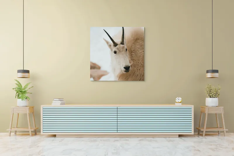 Tablou Canvas, "Capra montană în zăpadă imaculată", 100 x 100 cm – poza 5