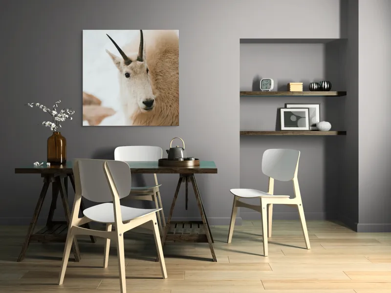 Tablou Canvas, "Capra montană în zăpadă imaculată", 100 x 100 cm – poza 6
