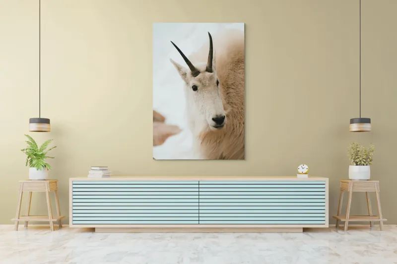 Tablou Canvas, "Capra montană în zăpadă imaculată", 100 x 150 cm – poza 4