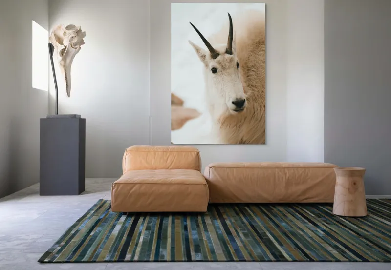 Tablou Canvas, "Capra montană în zăpadă imaculată", 100 x 150 cm – poza 7