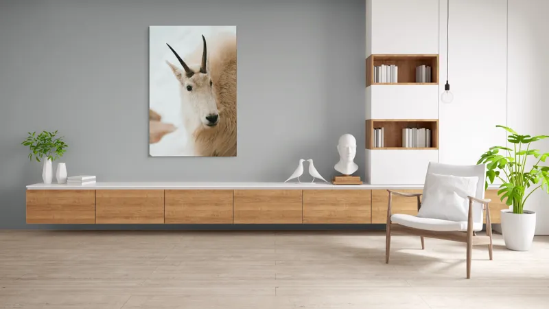 Tablou Canvas, "Capra montană în zăpadă imaculată", 100 x 150 cm – poza 8
