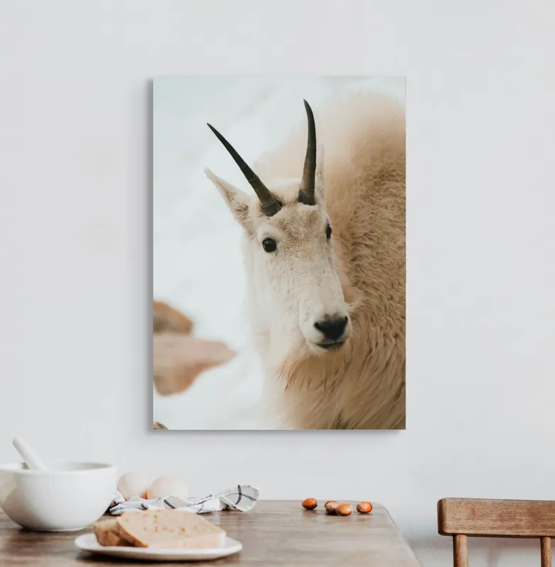 Tablou Canvas, "Capra montană în zăpadă imaculată", 50 x 70 cm – poza 3