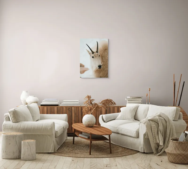 Tablou Canvas, "Capra montană în zăpadă imaculată", 50 x 70 cm – poza 4