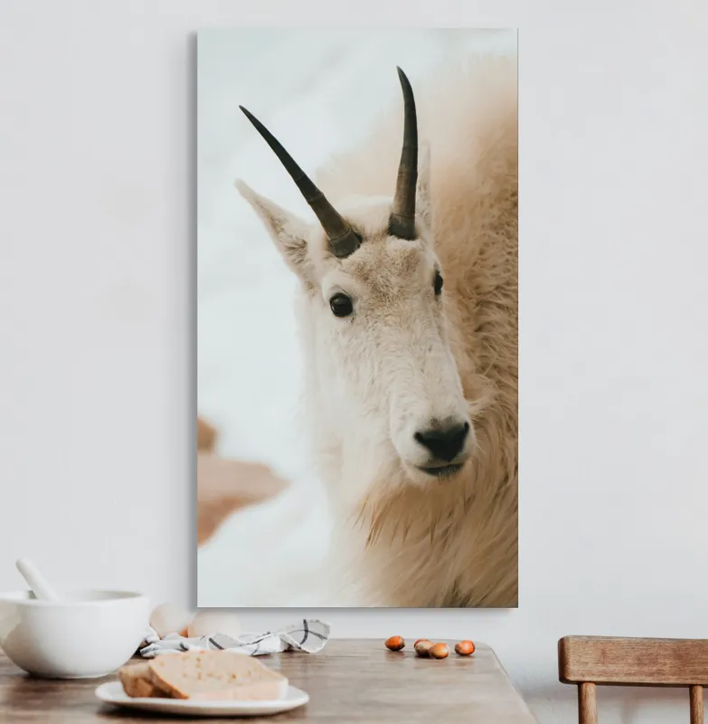 Tablou Canvas, "Capra montană în zăpadă imaculată", 50 x 90 cm – poza 3