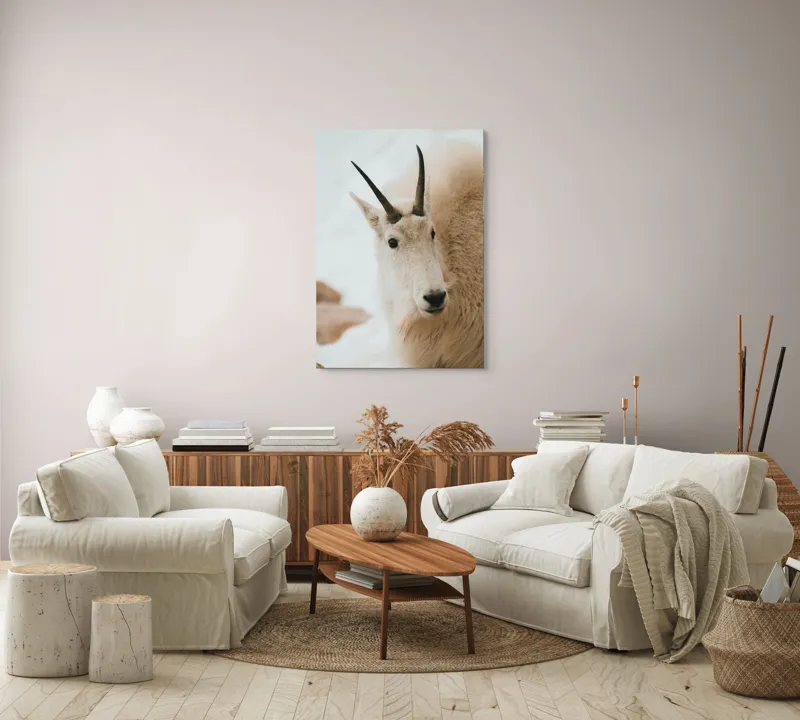 Tablou Canvas, "Capra montană în zăpadă imaculată", 70 x 100 cm – poza 4