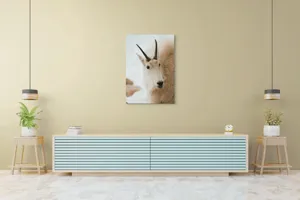 Tablou Canvas, "Capra montană în zăpadă imaculată", 70 x 100 cm – poza 5