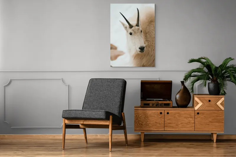 Tablou Canvas, "Capra montană în zăpadă imaculată", 70 x 100 cm – poza 6