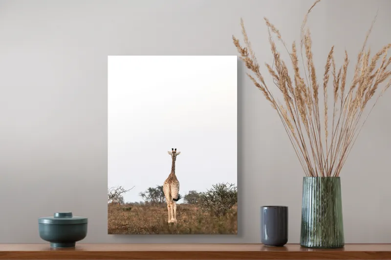 Tablou Canvas, "Girafa singuratică pe savana africană", Giraffe, Solitude, Savannah, Horizon, Serenity, Nature, 39 x 54 cm – poza 3