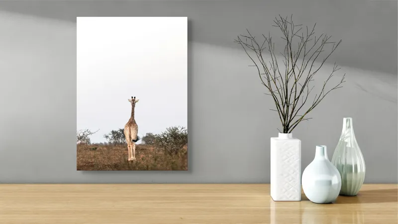 Tablou Canvas, "Girafa singuratică pe savana africană", Giraffe, Solitude, Savannah, Horizon, Serenity, Nature, 39 x 54 cm – poza 4