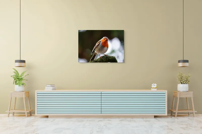Tablou Canvas, "Pasărea cu pieptul de foc pe ramură", Pasăre, Ramură, Penaj, Portocaliu, Ochi, Natură, Claritate, Atenție., 100 x 70 cm – poza 4