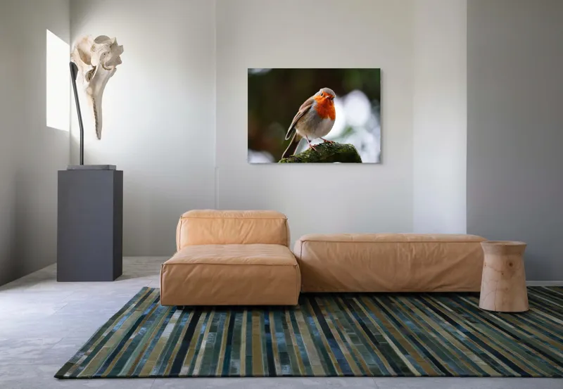 Tablou Canvas, "Pasărea cu pieptul de foc pe ramură", Pasăre, Ramură, Penaj, Portocaliu, Ochi, Natură, Claritate, Atenție., 100 x 70 cm – poza 7