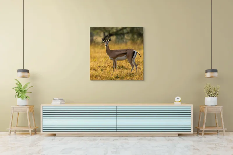 Tablou Canvas, "Gazela în lumina apusului african", Gazelă, Serenitate, Natură, Peisaj, Sălbăticie, Soare, Câmpie, Grație, Eleganță, Privire., 100 x 100 cm – poza 5