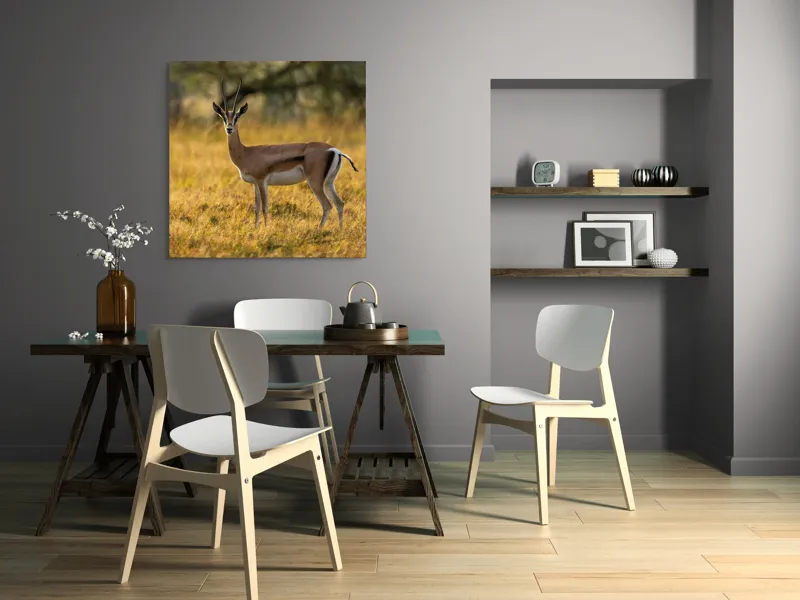 Tablou Canvas, "Gazela în lumina apusului african", Gazelă, Serenitate, Natură, Peisaj, Sălbăticie, Soare, Câmpie, Grație, Eleganță, Privire., 100 x 100 cm – poza 6