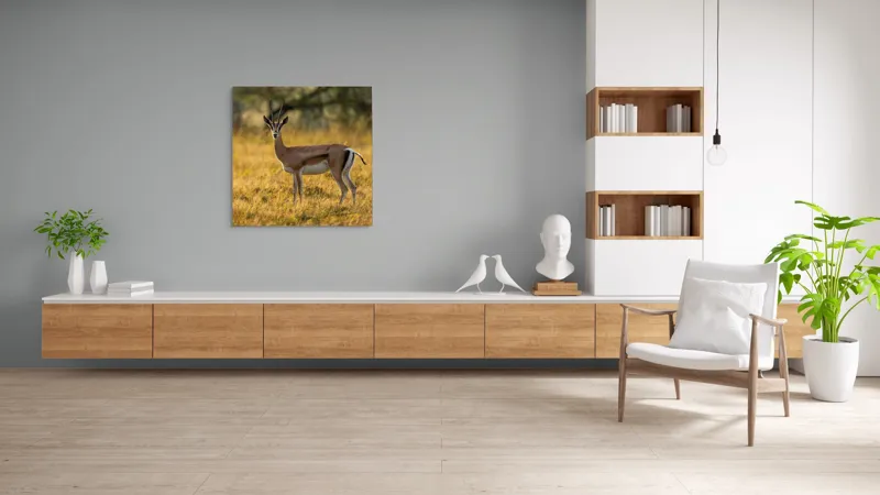Tablou Canvas, "Gazela în lumina apusului african", Gazelă, Serenitate, Natură, Peisaj, Sălbăticie, Soare, Câmpie, Grație, Eleganță, Privire., 100 x 100 cm – poza 8