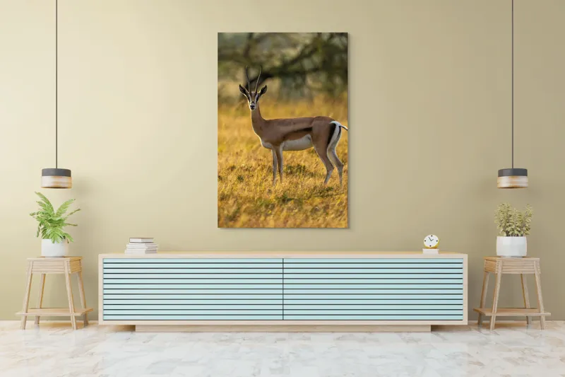 Tablou Canvas, "Gazela în lumina apusului african", Gazelă, Serenitate, Natură, Peisaj, Sălbăticie, Soare, Câmpie, Grație, Eleganță, Privire., 100 x 150 cm – poza 4