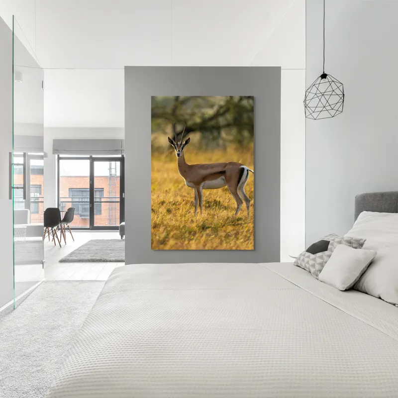 Tablou Canvas, "Gazela în lumina apusului african", Gazelă, Serenitate, Natură, Peisaj, Sălbăticie, Soare, Câmpie, Grație, Eleganță, Privire., 100 x 150 cm – poza 5