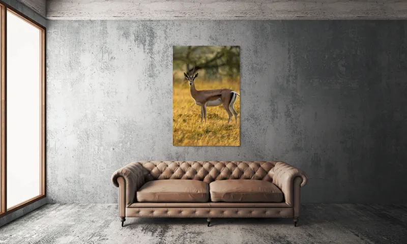 Tablou Canvas, "Gazela în lumina apusului african", Gazelă, Serenitate, Natură, Peisaj, Sălbăticie, Soare, Câmpie, Grație, Eleganță, Privire., 100 x 150 cm – poza 6