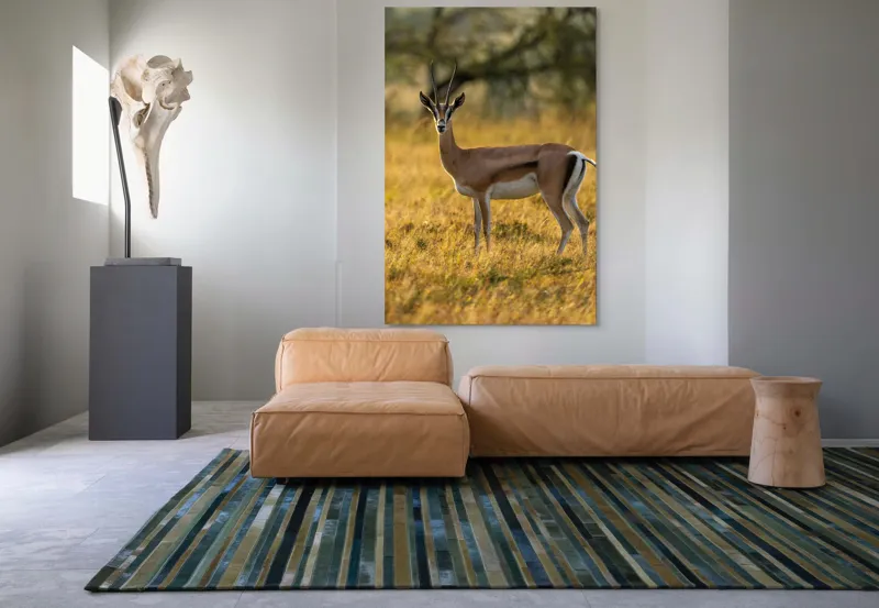 Tablou Canvas, "Gazela în lumina apusului african", Gazelă, Serenitate, Natură, Peisaj, Sălbăticie, Soare, Câmpie, Grație, Eleganță, Privire., 100 x 150 cm – poza 7