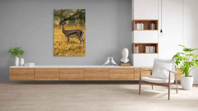 Tablou Canvas, "Gazela în lumina apusului african", Gazelă, Serenitate, Natură, Peisaj, Sălbăticie, Soare, Câmpie, Grație, Eleganță, Privire., 100 x 150 cm – poza 8