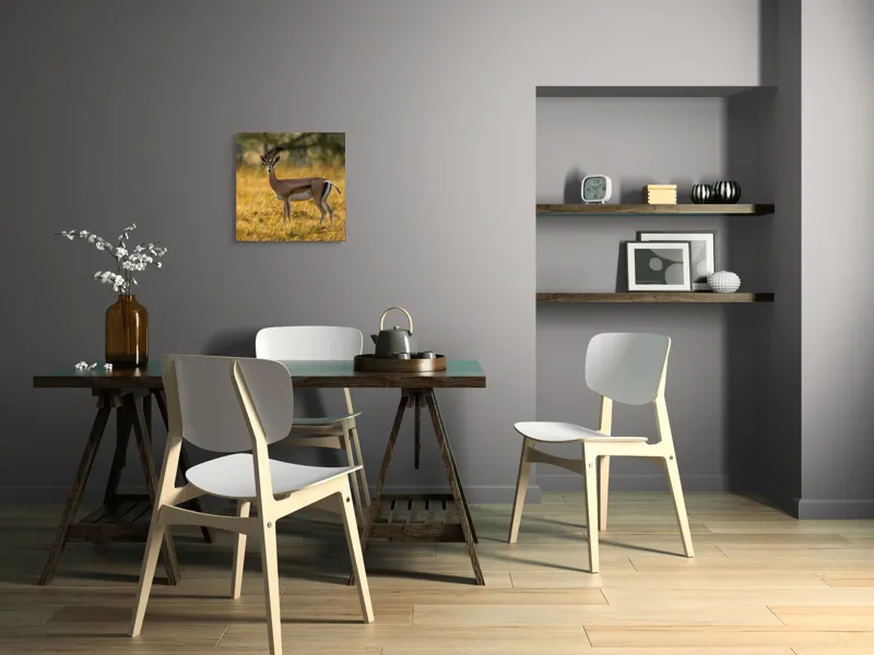 Tablou Canvas, "Gazela în lumina apusului african", Gazelă, Serenitate, Natură, Peisaj, Sălbăticie, Soare, Câmpie, Grație, Eleganță, Privire., 50 x 50 cm – poza 8