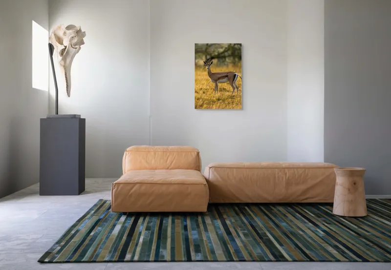Tablou Canvas, "Gazela în lumina apusului african", Gazelă, Serenitate, Natură, Peisaj, Sălbăticie, Soare, Câmpie, Grație, Eleganță, Privire., 50 x 70 cm – poza 7