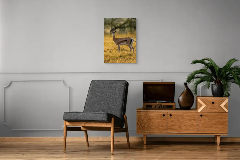 Tablou Canvas, "Gazela în lumina apusului african", Gazelă, Serenitate, Natură, Peisaj, Sălbăticie, Soare, Câmpie, Grație, Eleganță, Privire., 50 x 70 cm – poza 8