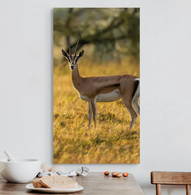 Tablou Canvas, "Gazela în lumina apusului african", Gazelă, Serenitate, Natură, Peisaj, Sălbăticie, Soare, Câmpie, Grație, Eleganță, Privire., 50 x 90 cm – poza 3