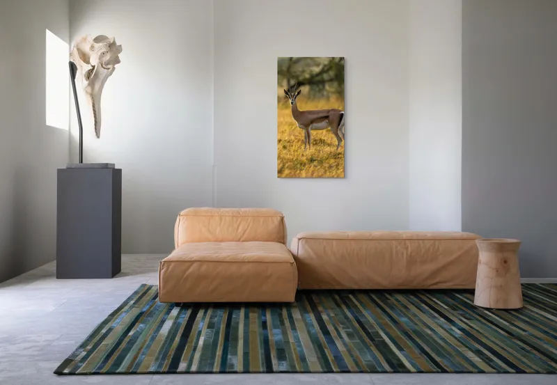 Tablou Canvas, "Gazela în lumina apusului african", Gazelă, Serenitate, Natură, Peisaj, Sălbăticie, Soare, Câmpie, Grație, Eleganță, Privire., 50 x 90 cm – poza 5