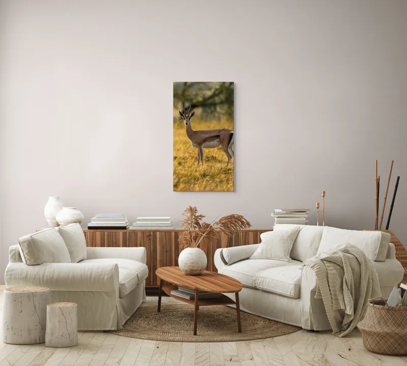 Tablou Canvas, "Gazela în lumina apusului african", Gazelă, Serenitate, Natură, Peisaj, Sălbăticie, Soare, Câmpie, Grație, Eleganță, Privire., 50 x 90 cm – poza 7