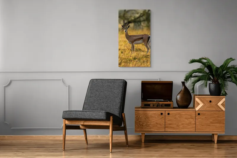 Tablou Canvas, "Gazela în lumina apusului african", Gazelă, Serenitate, Natură, Peisaj, Sălbăticie, Soare, Câmpie, Grație, Eleganță, Privire., 50 x 90 cm – poza 8