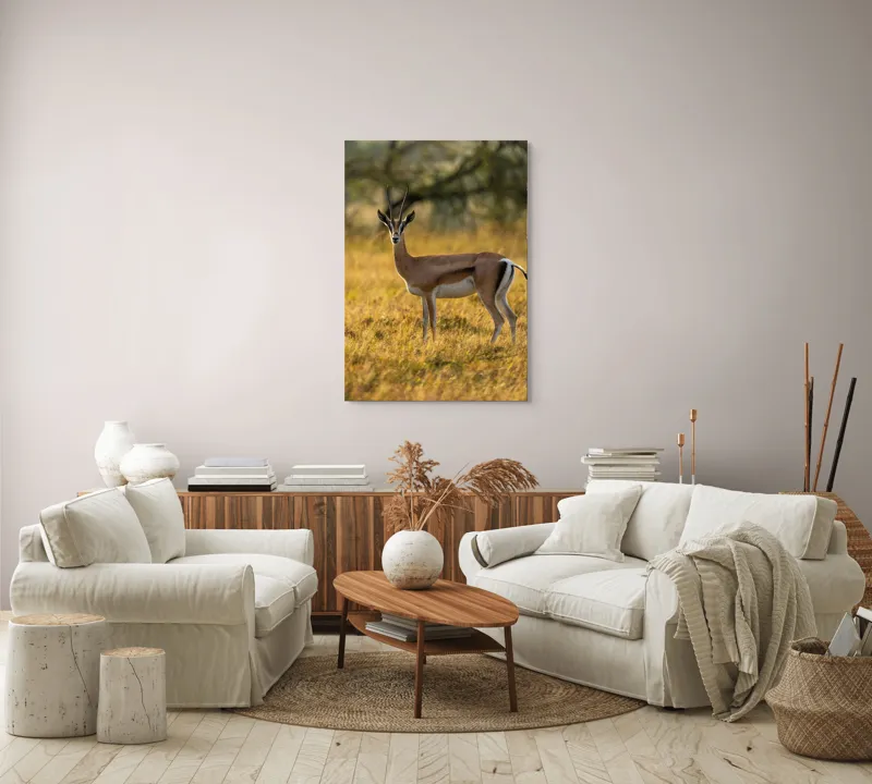 Tablou Canvas, "Gazela în lumina apusului african", Gazelă, Serenitate, Natură, Peisaj, Sălbăticie, Soare, Câmpie, Grație, Eleganță, Privire., 70 x 100 cm – poza 4