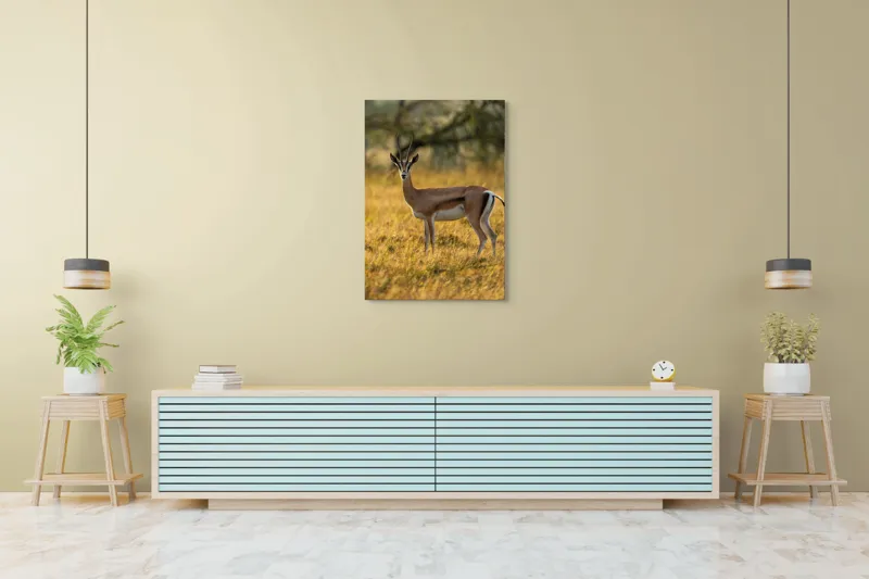 Tablou Canvas, "Gazela în lumina apusului african", Gazelă, Serenitate, Natură, Peisaj, Sălbăticie, Soare, Câmpie, Grație, Eleganță, Privire., 70 x 100 cm – poza 5