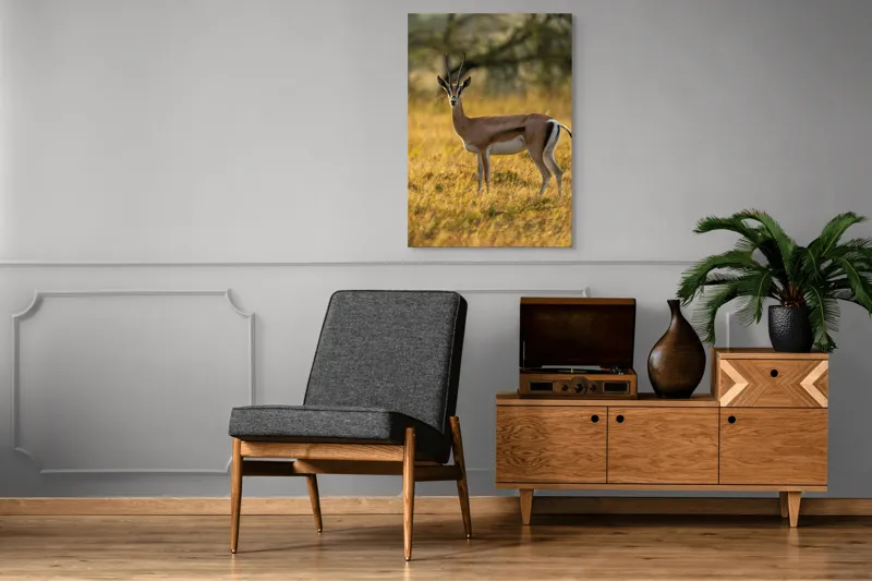 Tablou Canvas, "Gazela în lumina apusului african", Gazelă, Serenitate, Natură, Peisaj, Sălbăticie, Soare, Câmpie, Grație, Eleganță, Privire., 70 x 100 cm – poza 6