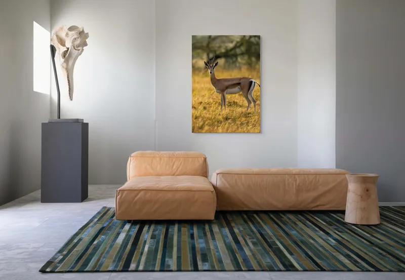 Tablou Canvas, "Gazela în lumina apusului african", Gazelă, Serenitate, Natură, Peisaj, Sălbăticie, Soare, Câmpie, Grație, Eleganță, Privire., 70 x 100 cm – poza 7