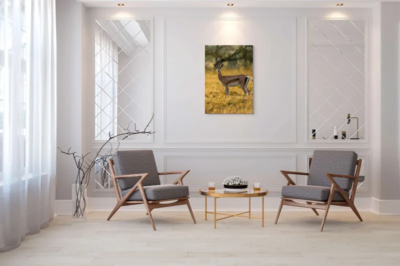 Tablou Canvas, "Gazela în lumina apusului african", Gazelă, Serenitate, Natură, Peisaj, Sălbăticie, Soare, Câmpie, Grație, Eleganță, Privire., 70 x 100 cm – poza 8