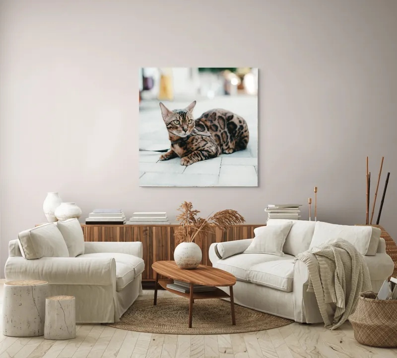 Tablou Canvas, "Pisica bengaleză pe stradă pustie", Blând, Viguros, Patat, Relaxează, Urban, Drăgălaș, Strălucitor., 100 x 100 cm – poza 3
