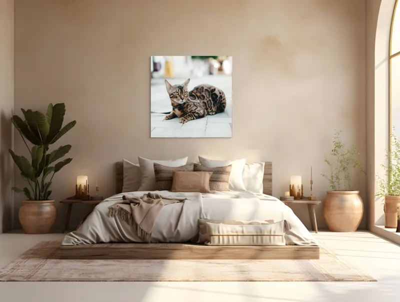 Tablou Canvas, "Pisica bengaleză pe stradă pustie", Blând, Viguros, Patat, Relaxează, Urban, Drăgălaș, Strălucitor., 100 x 100 cm – poza 4