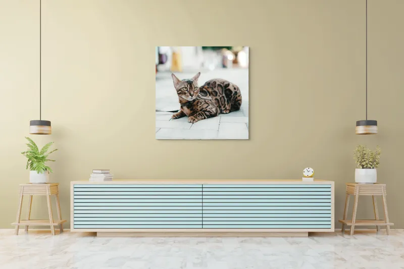 Tablou Canvas, "Pisica bengaleză pe stradă pustie", Blând, Viguros, Patat, Relaxează, Urban, Drăgălaș, Strălucitor., 100 x 100 cm – poza 5