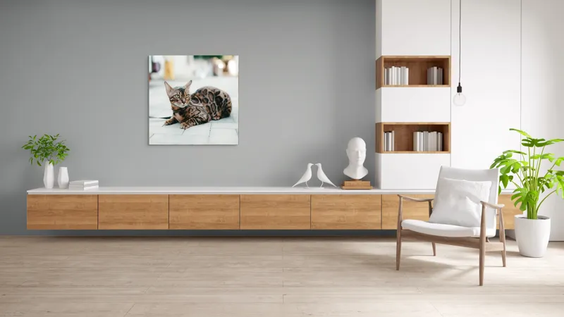 Tablou Canvas, "Pisica bengaleză pe stradă pustie", Blând, Viguros, Patat, Relaxează, Urban, Drăgălaș, Strălucitor., 100 x 100 cm – poza 8