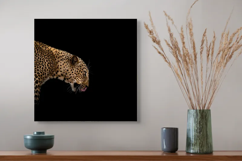 Tablou Canvas, "Leopard în întunericul nopții africane", Panteră, Eleganță, Concentrare, Contrast, Mistic, Grație, Agilitate, Puncte, 50 x 50 cm – poza 4