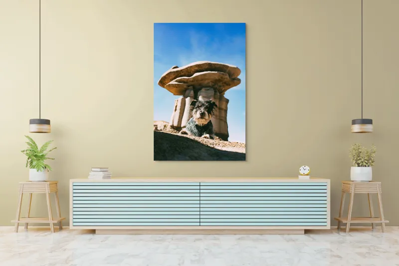 Tablou Canvas, "Câine lângă stânci de poveste", Câine, Stânci, Cer, Nori, Soare, Umbre, Natură, Peisaj, Liniște, Aventură, 100 x 150 cm – poza 4