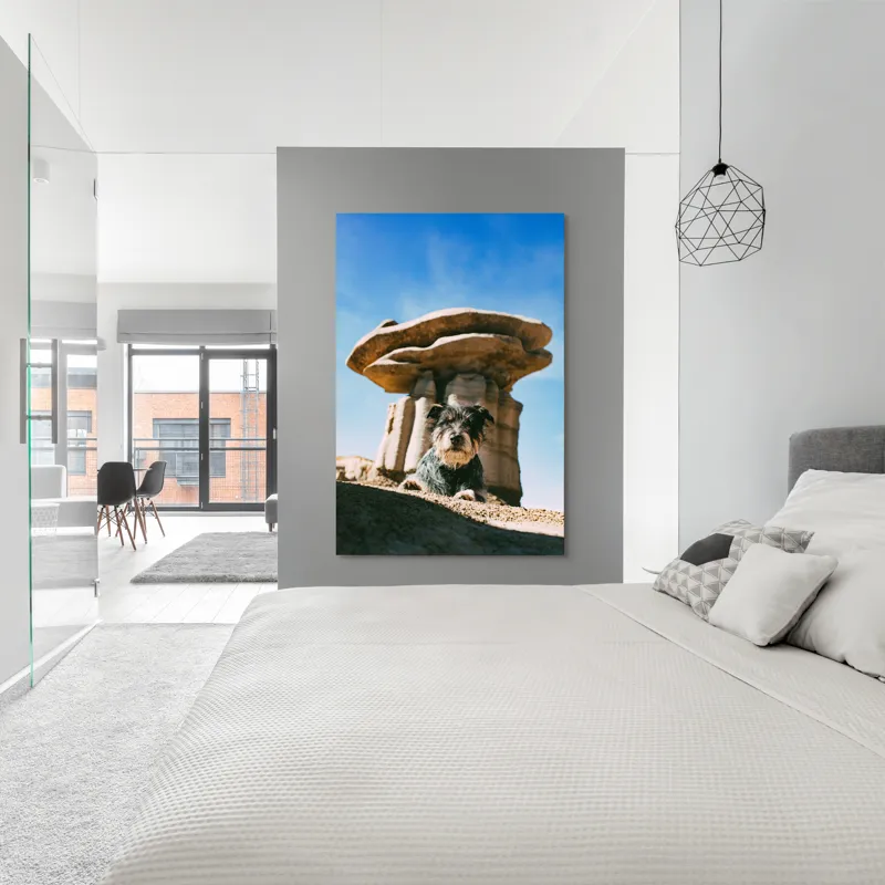 Tablou Canvas, "Câine lângă stânci de poveste", Câine, Stânci, Cer, Nori, Soare, Umbre, Natură, Peisaj, Liniște, Aventură, 100 x 150 cm – poza 5