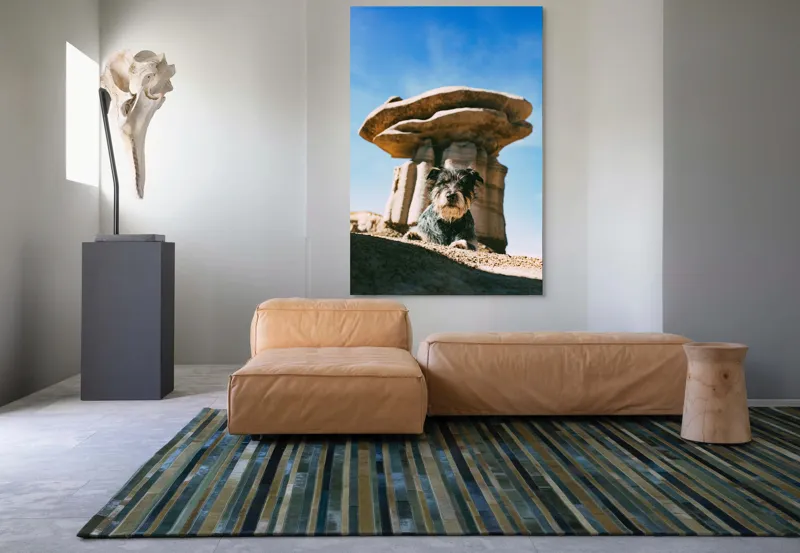 Tablou Canvas, "Câine lângă stânci de poveste", Câine, Stânci, Cer, Nori, Soare, Umbre, Natură, Peisaj, Liniște, Aventură, 100 x 150 cm – poza 7