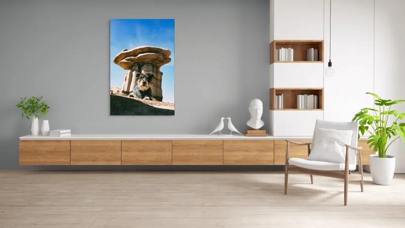 Tablou Canvas, "Câine lângă stânci de poveste", Câine, Stânci, Cer, Nori, Soare, Umbre, Natură, Peisaj, Liniște, Aventură, 100 x 150 cm – poza 8