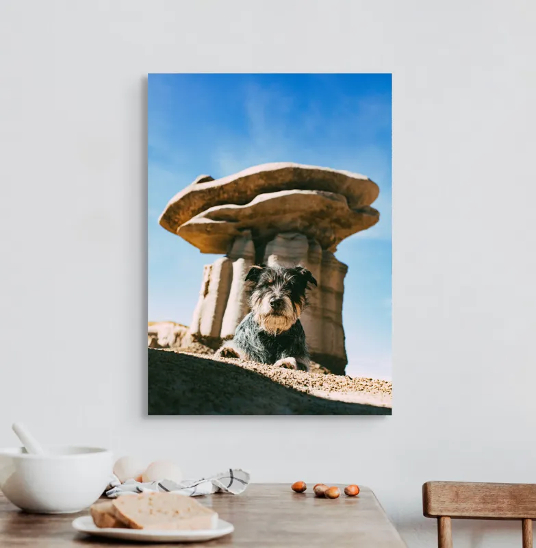 Tablou Canvas, "Câine lângă stânci de poveste", Câine, Stânci, Cer, Nori, Soare, Umbre, Natură, Peisaj, Liniște, Aventură, 50 x 70 cm – poza 3