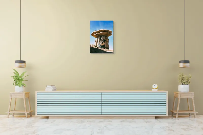 Tablou Canvas, "Câine lângă stânci de poveste", Câine, Stânci, Cer, Nori, Soare, Umbre, Natură, Peisaj, Liniște, Aventură, 50 x 70 cm – poza 6