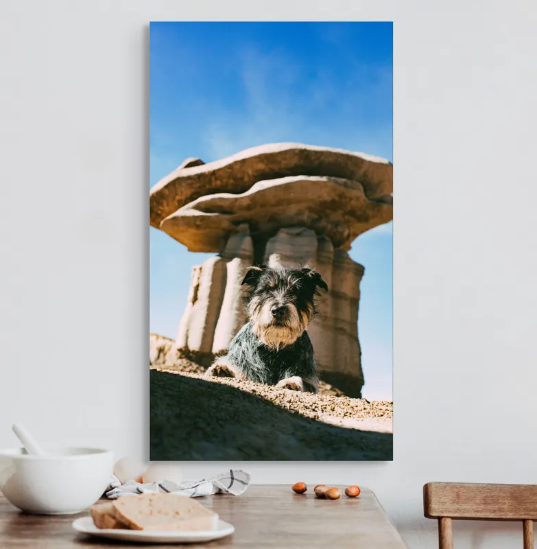 Tablou Canvas, "Câine lângă stânci de poveste", Câine, Stânci, Cer, Nori, Soare, Umbre, Natură, Peisaj, Liniște, Aventură, 50 x 90 cm – poza 3