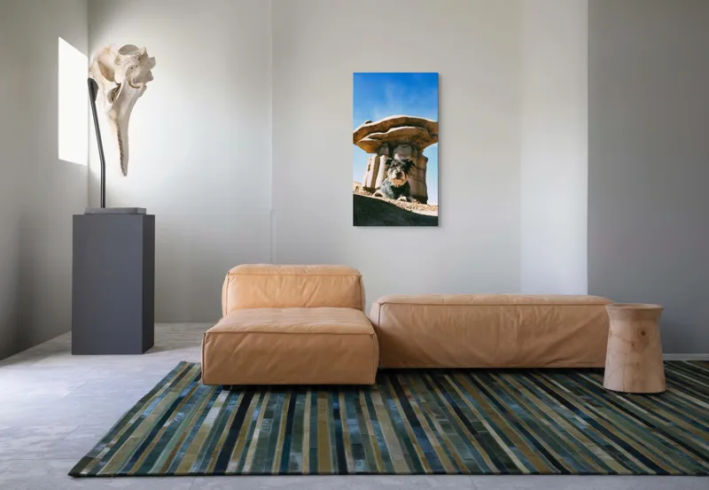 Tablou Canvas, "Câine lângă stânci de poveste", Câine, Stânci, Cer, Nori, Soare, Umbre, Natură, Peisaj, Liniște, Aventură, 50 x 90 cm – poza 5